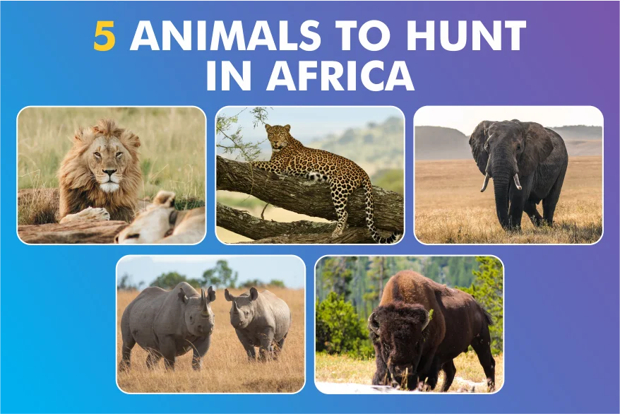 Animals to Hunt in Africa